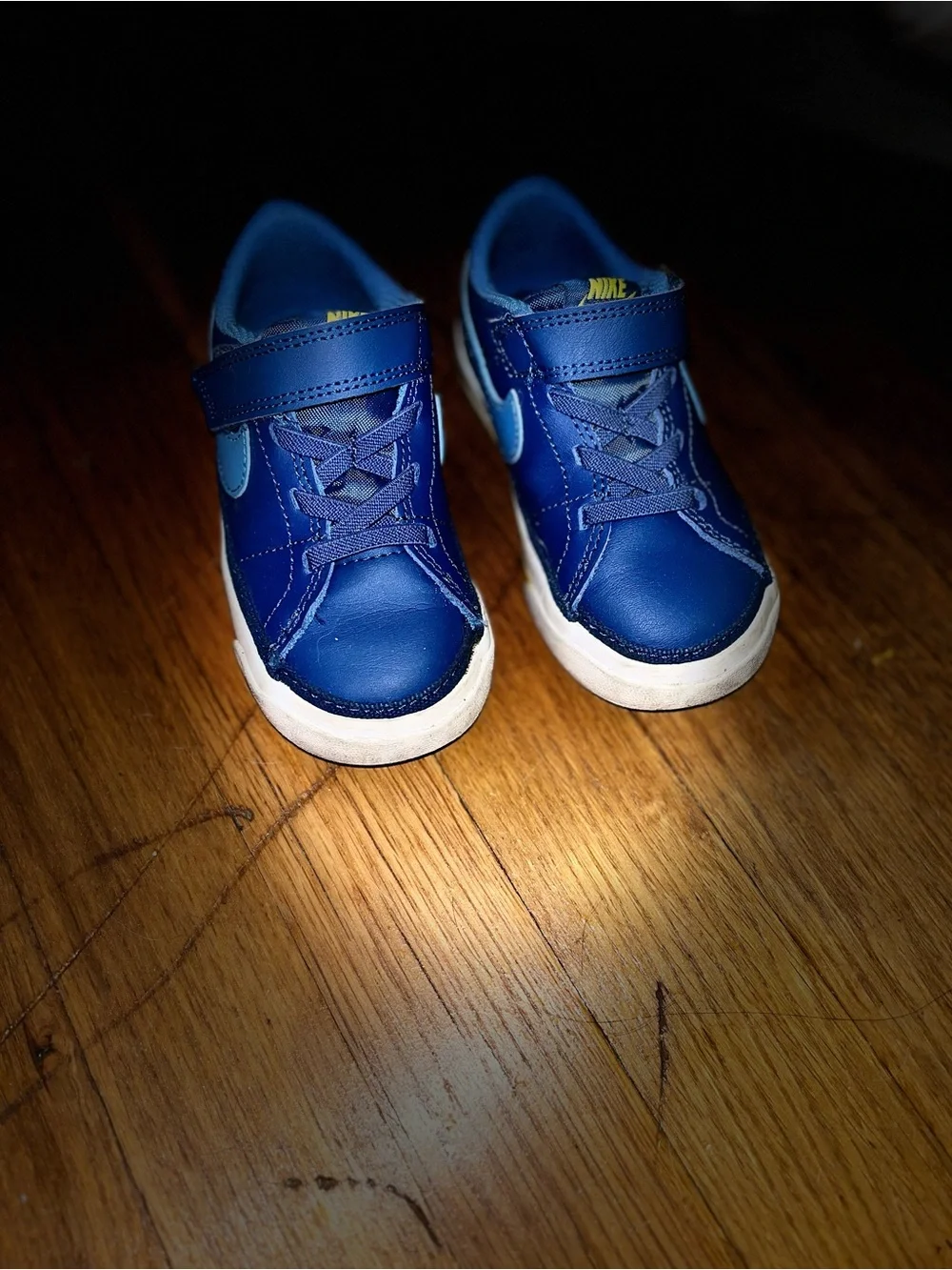 Nike Kids Blue and Light Blue Hook-and-Loop Sneakers